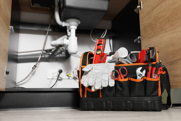 Best Commercial Plumbing Services  in Hallsville, MO